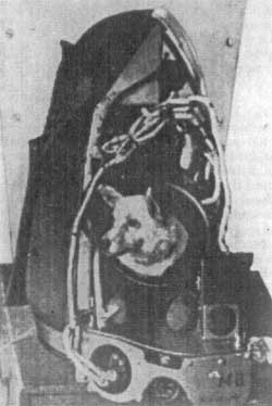 Вид катапультируемой тележки спереди (1954 г.)