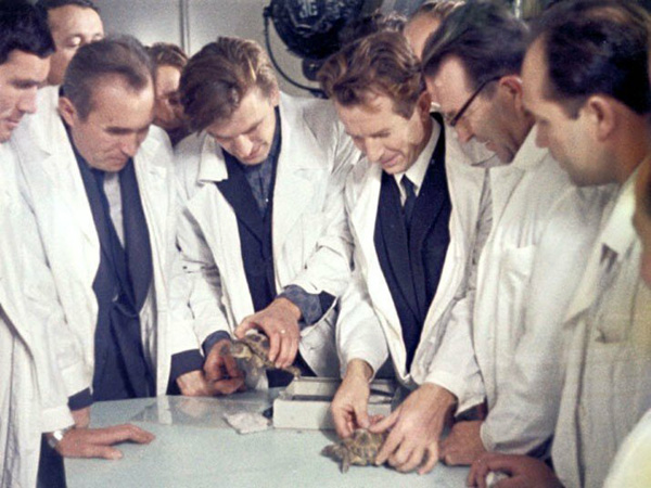 21 сентября 1968 года в СА КК «Зонд-5» (СССР) после облёта Луны на Землю прибыли первые живые существа - черепахи