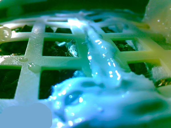 12 января 2019 года - в биоконтейнере на Чаньэ-4 (Китай) пророс хлопок - первое растение на Луне. По идее, он должен был вылезти из ячейки, но неожиданно пошёл горизонтально. А множество иных семян не проросли вовсе. Кстати, в контрольном эксперименте на Земле - тоже. Грешат на некачественные семена